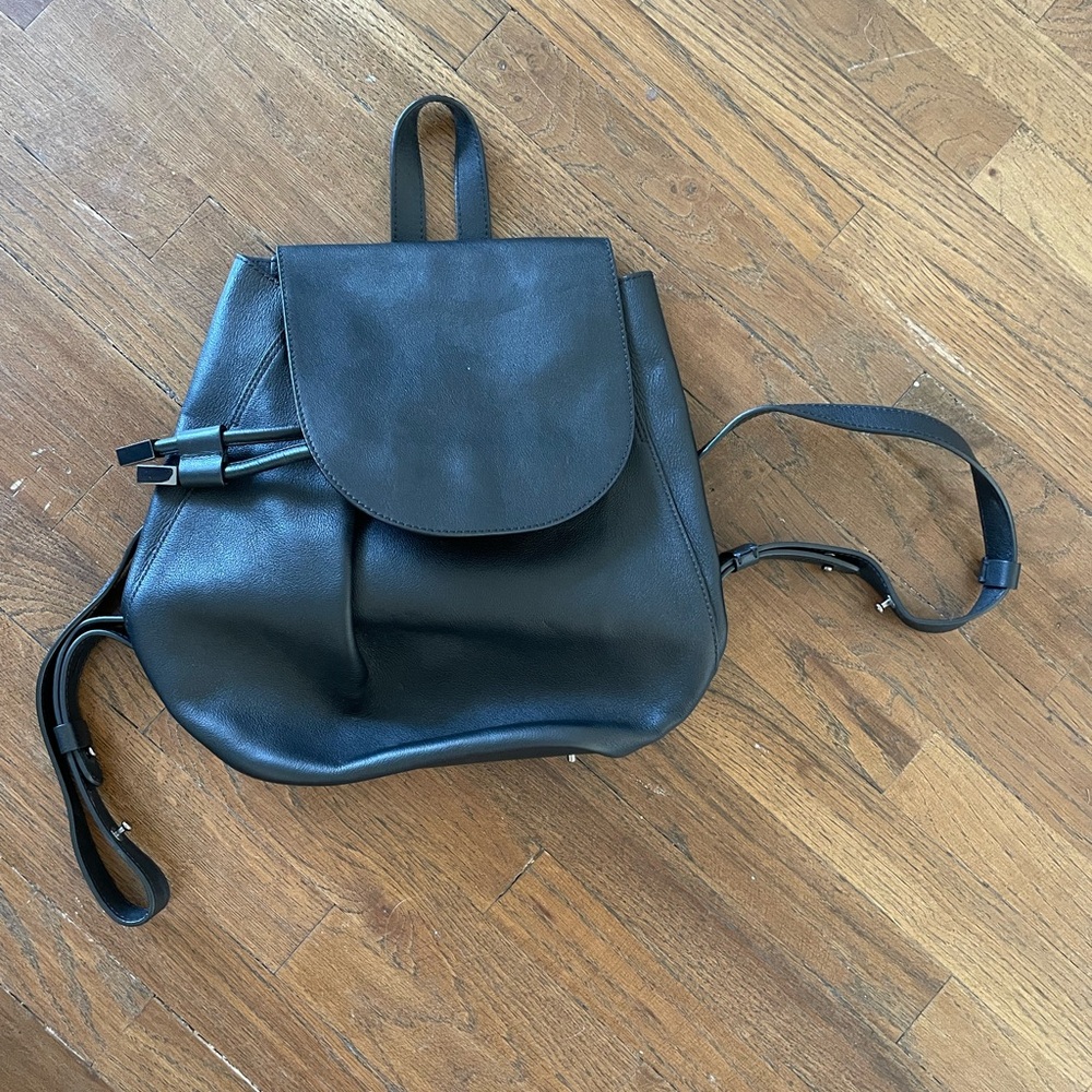 Everlane Classic Black Leather Backpack